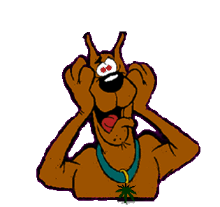 Scoob