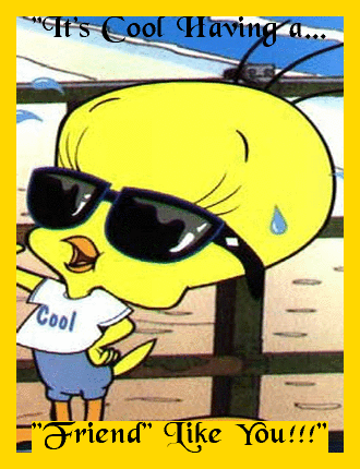 Cooltweety Card 330 X 430