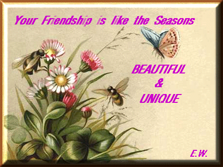 Friendship Seasons