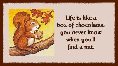 Life Is Like