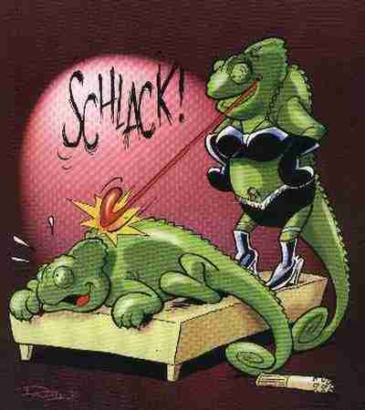 Lizard S N M