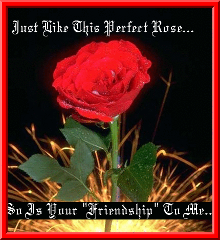 Perfectfrindship