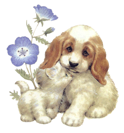 Puppy Kitty