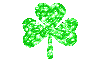 Shamrock a