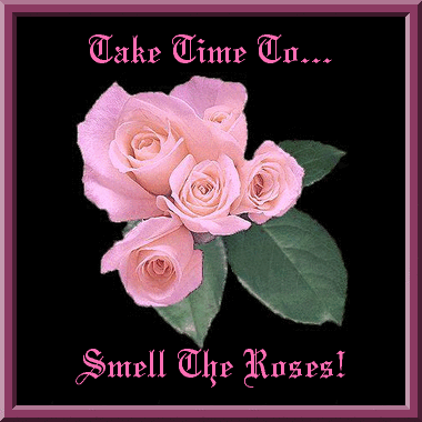 Smell Roses