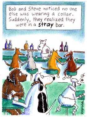 Stray Bar Cartoon