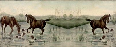 Horses in Water