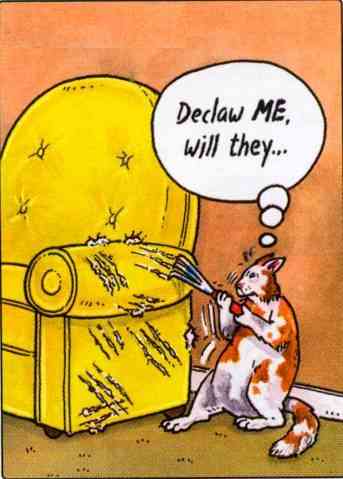 Cartoon De Claw
