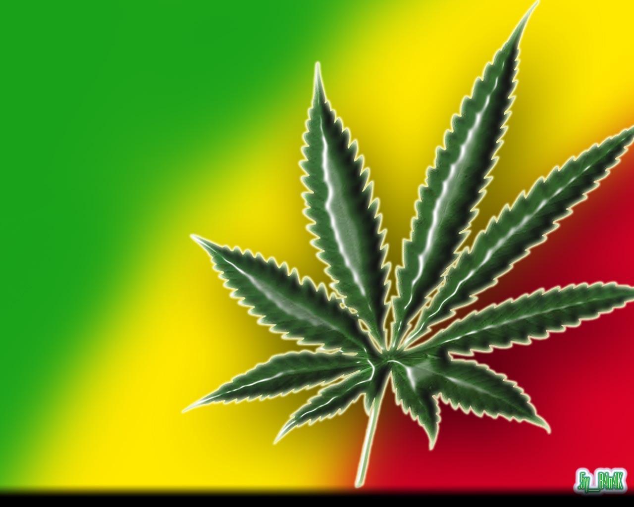 Weed Leaf Rasta