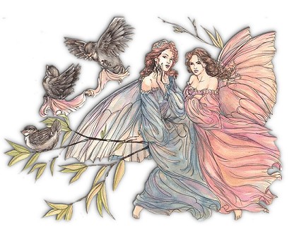 Fairys NBirds