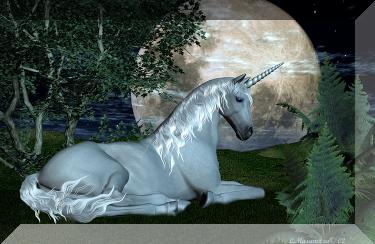 Fantasy Uni Moon