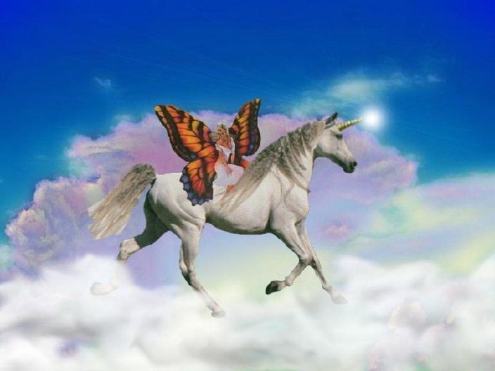 Fantasy Unicorn Clouds Rider Butterfly Woman