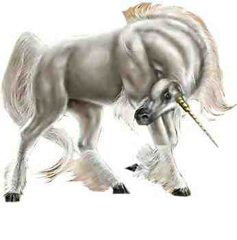 Stallion Unicorn