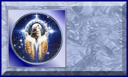 Wolf Dream Catcher Tag