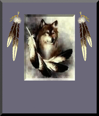 Wolf Feathers Tag