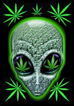 Alienpothead