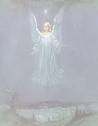 Angel (2)