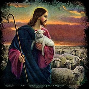 Jesus NSheep