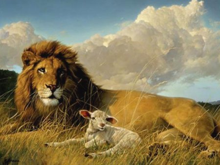 Lion Lamb