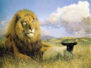 Lion Lamb 21217