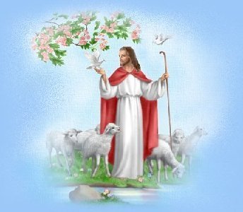 Lord and Dogwood