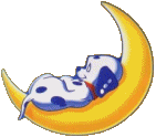 Ani Puppy Moon