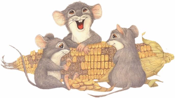Animals Mice Corn Cob