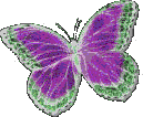 Butterfly (2)