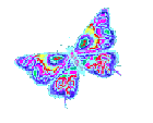 Butterfly (6)