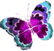 Butterfly (9)
