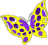 Butterfly (12)