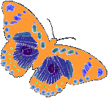 Butterfly (15)