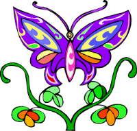 Butterfly Purp on Flowers