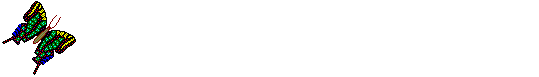 Btrfly