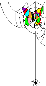 Btrfly 2