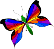 Btrfly 3