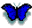 Butfly