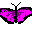 Butterfly Pnk