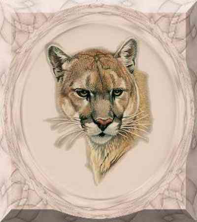 Beige Cougar WFrame