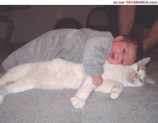 Big Kitty