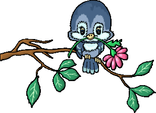 Bird in Tree WFlower in Mouth