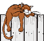 Cat Fence