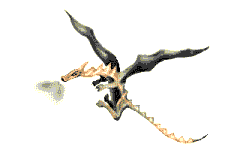 Dragon 12