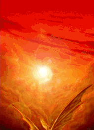 Dragon 18