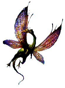 Dragon 24