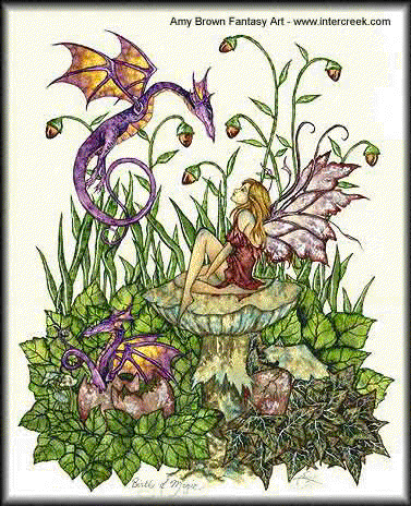 Micro Dragon and Fairy