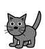 Exploding Cat