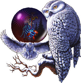 Globe Owls Wizard