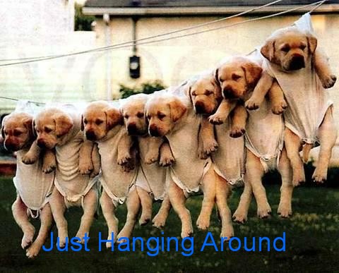Just Hanging Around