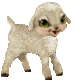 Lil Lamb